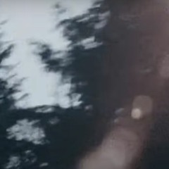 16 LAMBO - พงไพร Ft. SWEENY (FOREST)