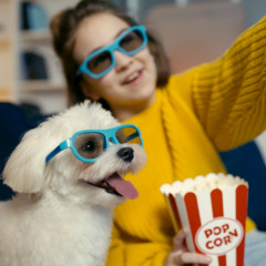 NCN - 'My Dog Ate The Epstein Files!' (Part 2.5) -Extended Version-