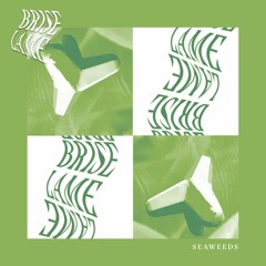 SEAWEEDS