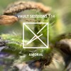 Vault Sessions #114 - AMORAL | BRET 21/05 DJ mix artwork - Electronic music tracklist cover image