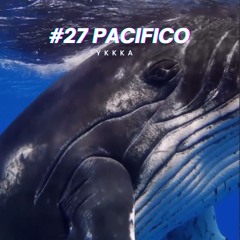 #27 pacifico