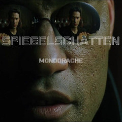 Mirrorshades / Spiegelschatten