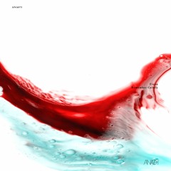 [ANA075] Fixon -  Remember Calmly *Previews*