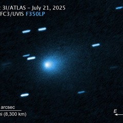 Δ aliensofthedeep ∇ ❤️‍🩹