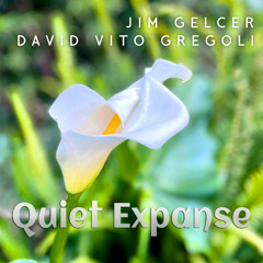 Quiet Expanse by Jim Gelcer and David Vito Gregoli