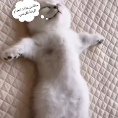 لاتجيب طاري فراق