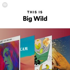 This Is Big Wild