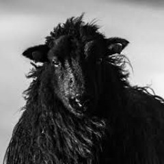 kARMA    Black Sheep Moon