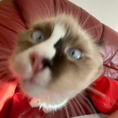 chugga