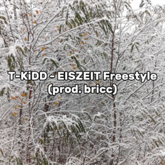 EISZEIT Freestyle (prod. bricc)