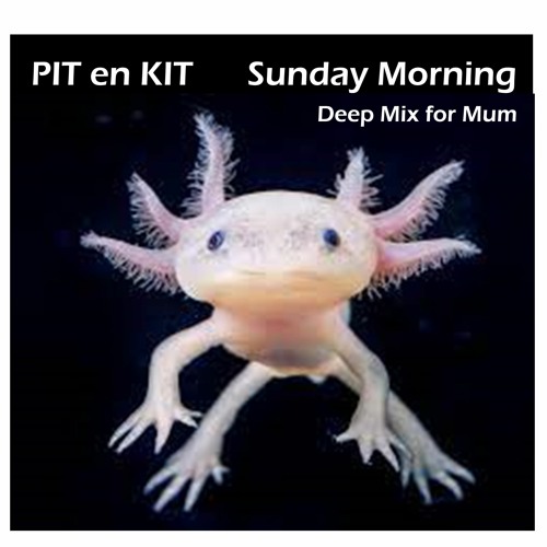 Sunday Morning - Deep Mix For Mum by Pit en Kit