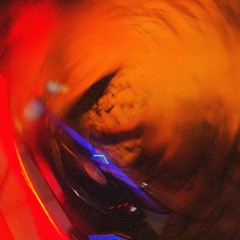 Interconnections – RICCI O b2b HAUER T [Vinyl Set]