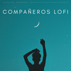 Melodías De Compañía De Lofi