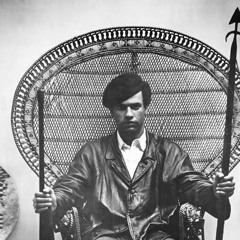 Huey P Newton