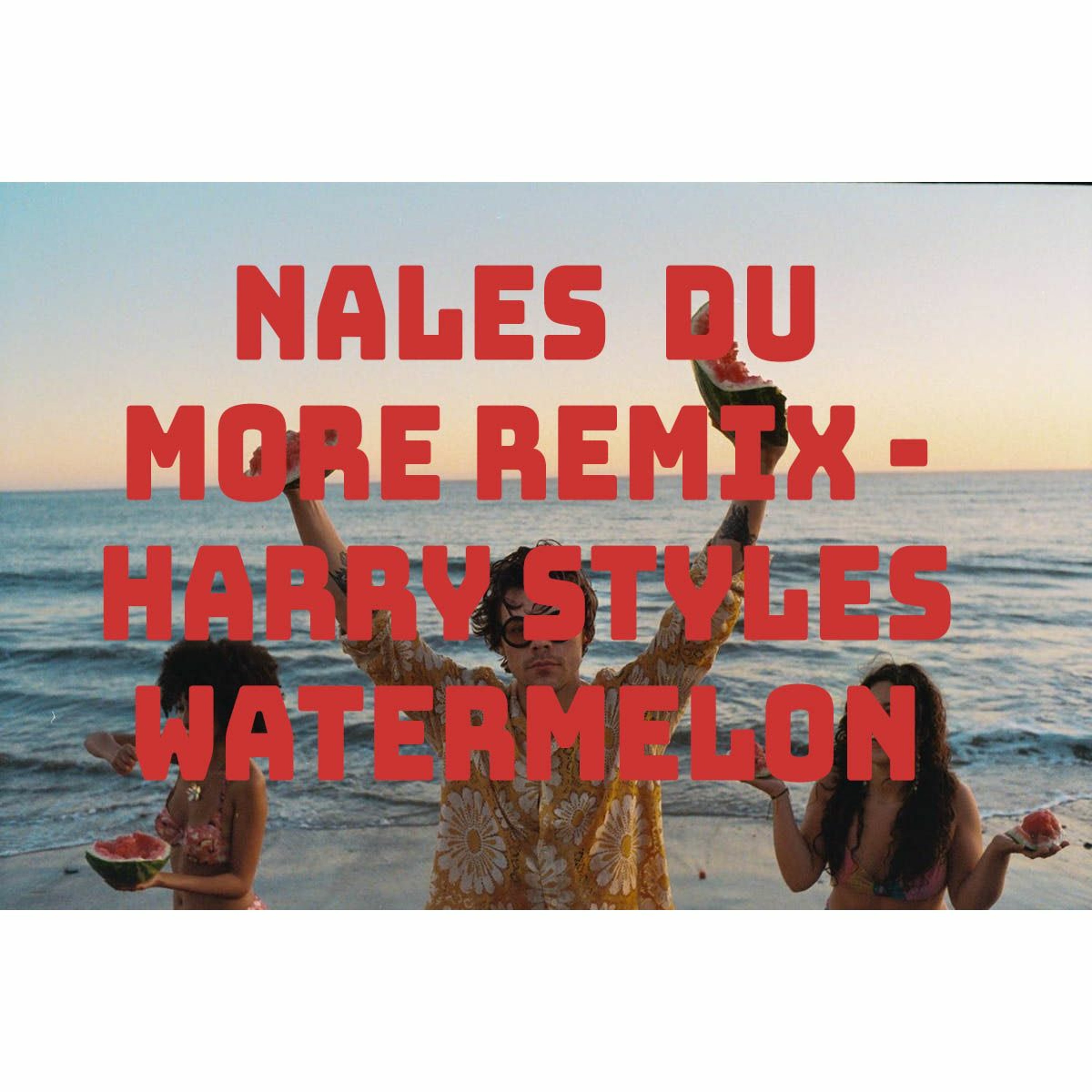 Nalez  Du More