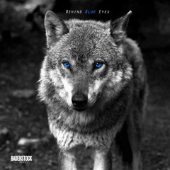 Behind Blue Eyes