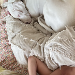 I’d rather be in bed with Opal