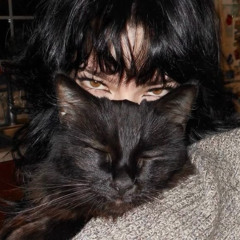 black cat