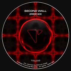 PREMIERE | Error 909 - Second Wall (EKKA Remix) [TRU018]