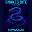 Snakes Bite ft. Bailey – Haymactx
