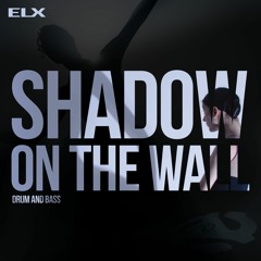 Shadow on the wall
