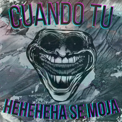 CUANDO TU HEHEHEHA SE MOJA (TikTok Edit Version)