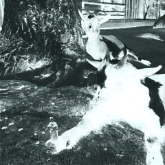 Wonder (Demo)