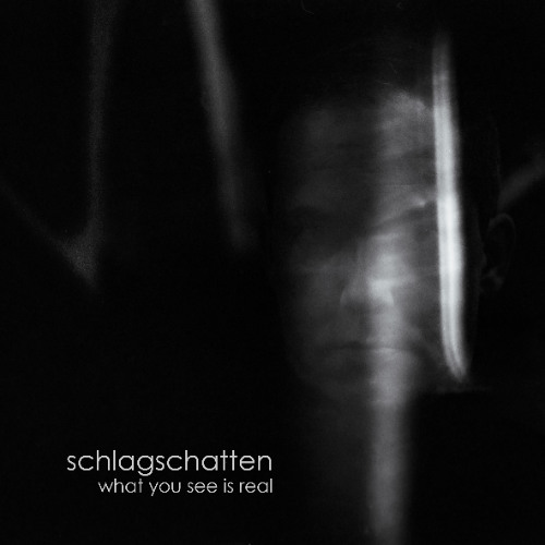 4_what you see is real