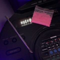 Exotic Fresh Yeinner Gallego