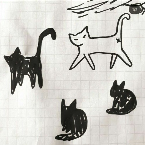 study