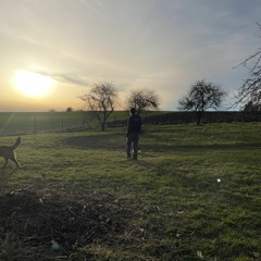 a collection of songs ive been working on