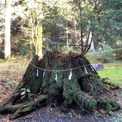 水の巡り