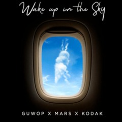 Wake Up In The Sky (DJX Remix)