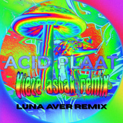Acid Plaat (Luna Aver Remix)