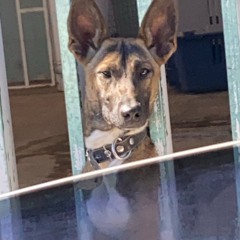 TheFeelingÆrasedNever