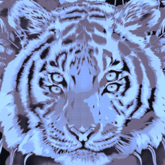 Apashe, Black Tiger Sex Machine - The Grave (Hebranding Remix)