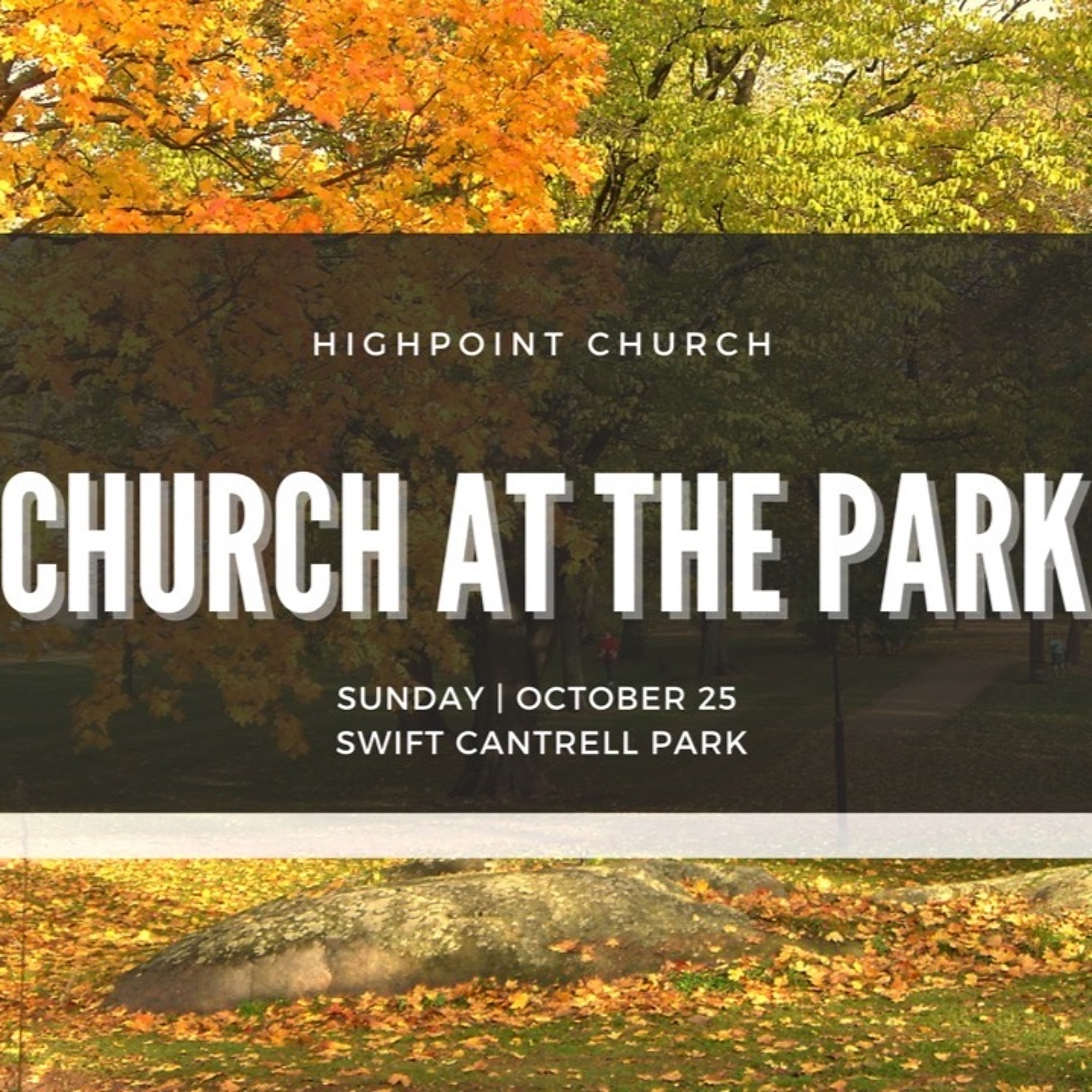 Salt And Light | Church at the Park episode artwork