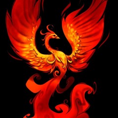 Two shots to be Done