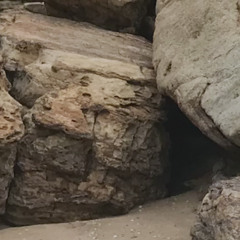 Kalimba Cavern
