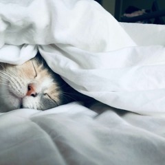 おはよう、おやすみ。