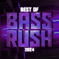Best of Bassrush Records: 2024 (Mixed by RZRKT)
