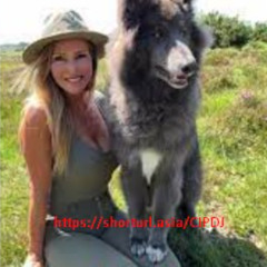 [Link Video 18+] one girl one wolf video original