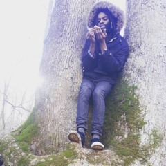 FonzillaFengShuiForever3