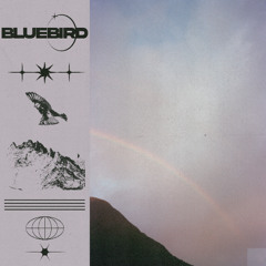 bluebird