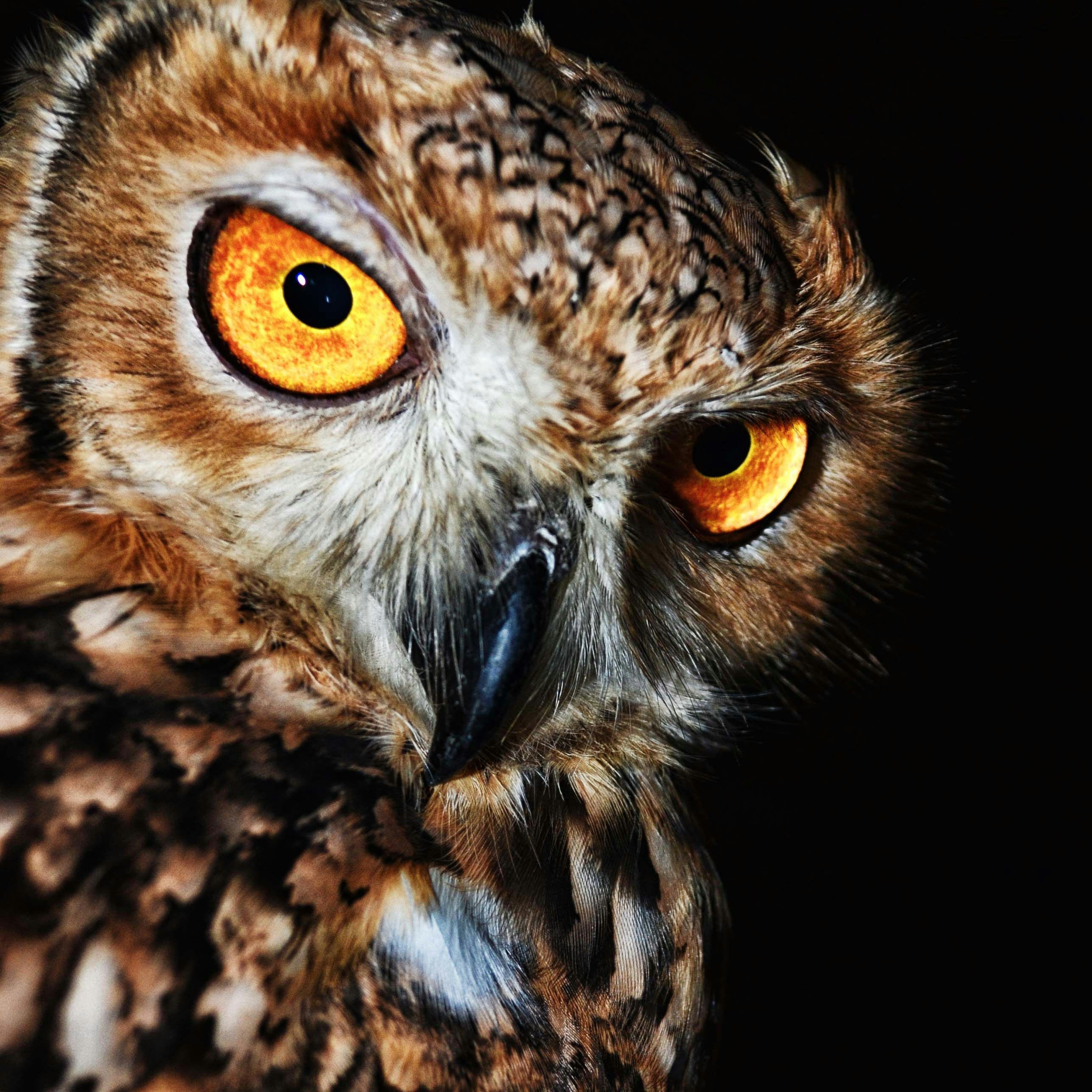 467. Dit moet iedere performer weten