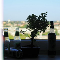 Ficus