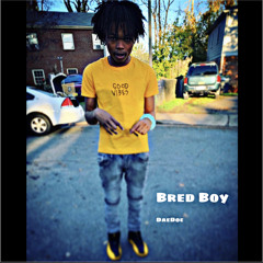 bred boy