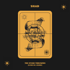 The Stone Throwers (Gone in a Blink)
