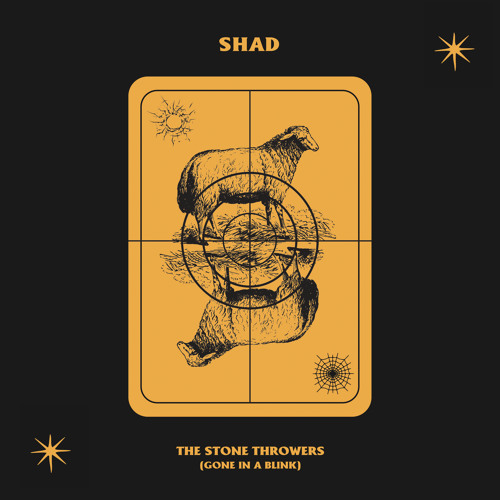 The Stone Throwers (Gone in a Blink)