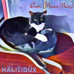 Chori (miau mix - No Sé remix)